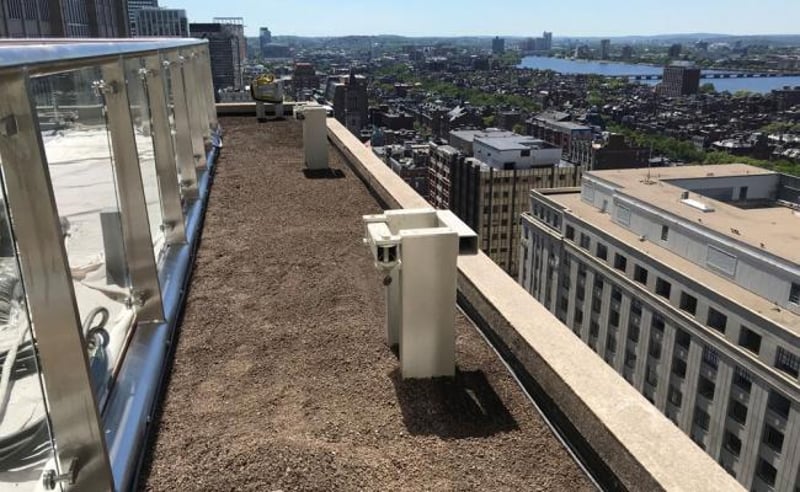 Green Roof Project preview 2